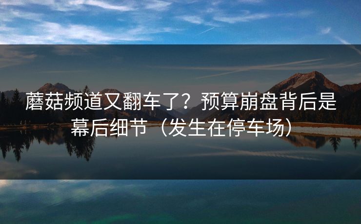 蘑菇频道又翻车了?预算崩盘背后是幕后细节(发生在停车场)